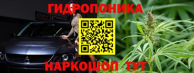 стафф Заволжье